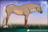 Horse Color:Red Dun Mushroom 