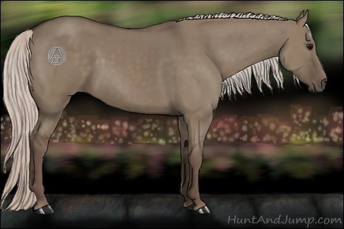 Horse Color:Silver Grullo