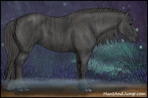 Horse Color:Black  Brindle
