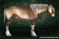 Horse Color:Silver Bay Onyx Sabino