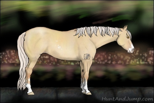 Horse Color:Silver Classic Champagne Dun Sabino 