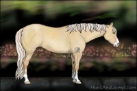 Horse Color:Silver Classic Champagne Dun Sabino