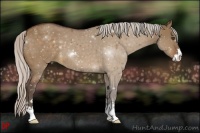 Horse Color:Silver Bay Dun Sabino