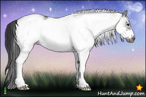 Horse Color:White Spotted Grullo Frame 