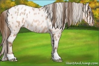 Horse Color:Brown Roan Pearl Varnish Rabicano 