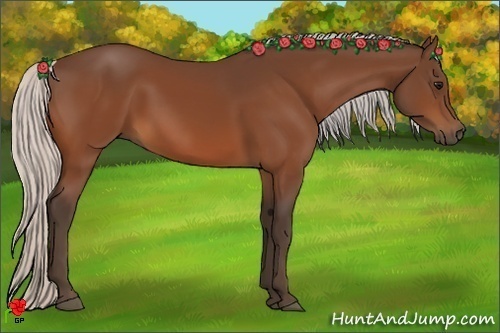 Horse Color:Silver Bay 