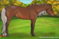 Horse Color:Silver Bay