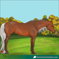 Horse Color:Silver Bay