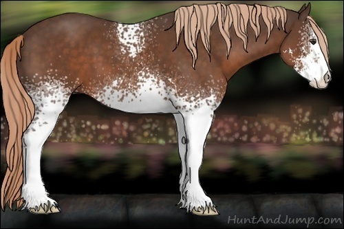 Horse Color:White Spotted Liver Chestnut Sabino 