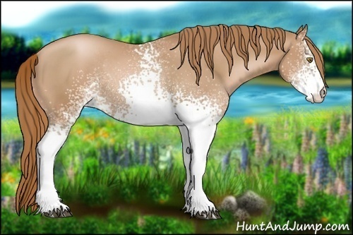 Horse Color:White Spotted Chestnut Pearl Rabicano