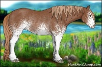 Horse Color:White Spotted Chestnut Rabicano 