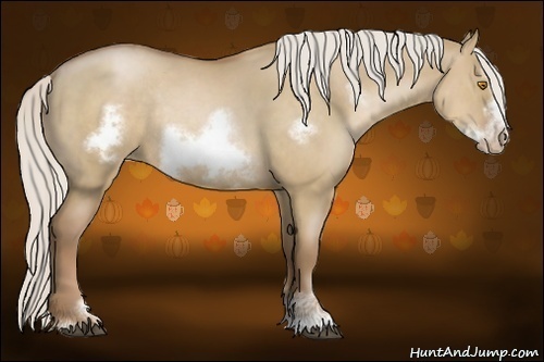 Horse Color:Silver Grullo Pearl Sabino Frame Rabicano 