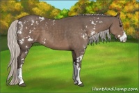Horse Color:Silver Black Sabino