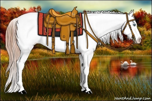 Horse Color:Smoky Grullo Pearl Blanket