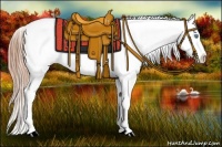 Horse Color:Smoky Grullo Pearl Blanket