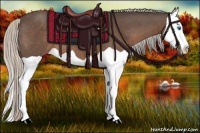 Horse Color:Silver Black Splash