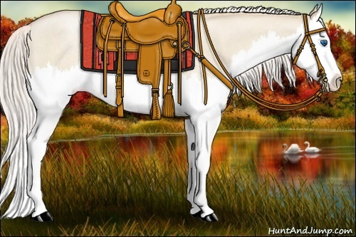 Horse Color:Silver Smoky Grullo Roan Pearl Splash Rabicano 