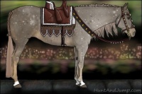 Horse Color:Chocolate Palomino 