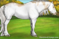 Horse Color:White Spotted Silver Bay Pearl Dun Sabino Splash Frame