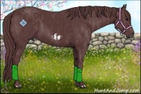 Horse Color:Chocolate Black Splash Frame  Brindle