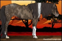 Horse Color:Classic Champagne Ice Tobiano Rabicano