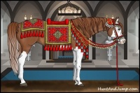 Horse Color:Chestnut Splash 