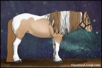 Horse Color:Bay Pearl Tobiano Rabicano 