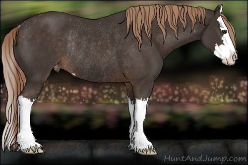 Horse Color:Liver Chestnut Sabino Splash Varnish Rabicano