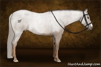 Horse Color:Chocolate Palomino Roan