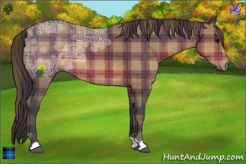 Horse Color:Plaid Brown Ice Rabicano