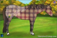 Horse Color:Plaid  Brown Ice Rabicano 