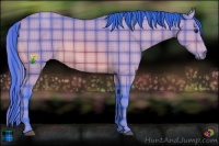 Horse Color:Watercolor Plaid  Buckskin 