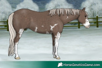 Horse Color:Silver Black Sabino
