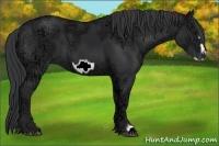 Horse Color:Black Ice Frame 