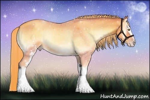 Horse Color:Watercolor White Spotted Gold Champagne Onyx 