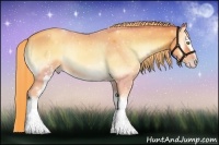 Horse Color:Watercolor White Spotted Gold Champagne Onyx