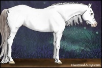 Horse Color:Liver Chestnut Appaloosa 