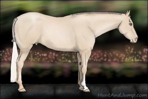 Horse Color:Silver Smoky Black Pearl Frame 