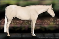 Horse Color:Silver Smoky Black Pearl Frame 