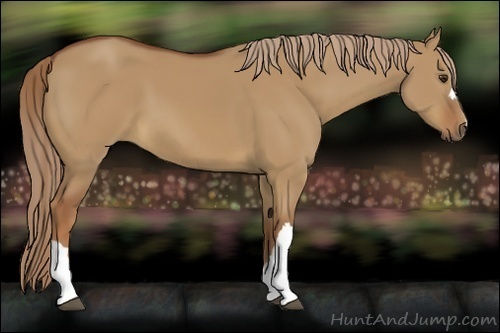 Horse Color:Red Dun