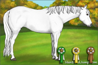 Horse Color:Gray Grullo 