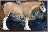 Horse Color:Liver Chestnut Pearl Sabino 