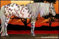 Horse Color:Nacre Silver Bay Varnish 