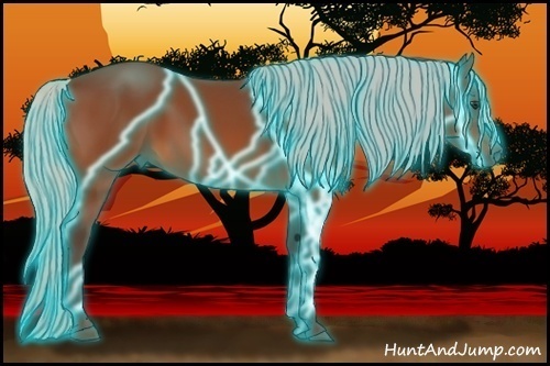 Horse Color:Thunderstruck Silver Bay 
