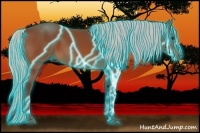 Horse Color:Thunderstruck Silver Bay