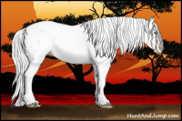 Horse Color:Gray Liver Chestnut Pearl Tobiano