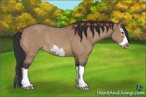 Horse Color:Bay Roan Dun Splash Frame Rabicano