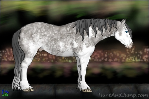 Horse Color:White Spotted Grullo Splash 