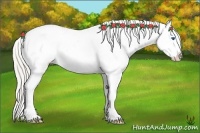 Horse Color:Silver Grullo Splash Tobiano Appaloosa Rabicano