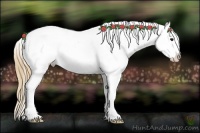 Horse Color:Smoky Grullo Splash Varnish 